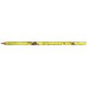 Image of BIC Evolution Classic Cut End Digital Ecolutions Pencil